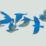 015 0 15-horz2-crop1